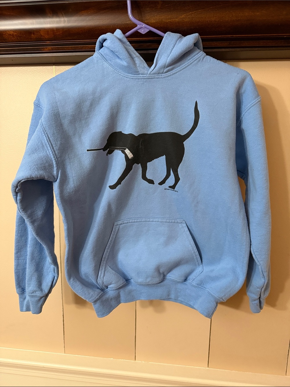 Light Blue Hoodie with Black Retriever Graphic